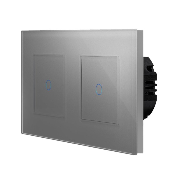 Glas 2 1-fache Dimmer Touch Grau LXBG2/2xP-701D-15 POINT 