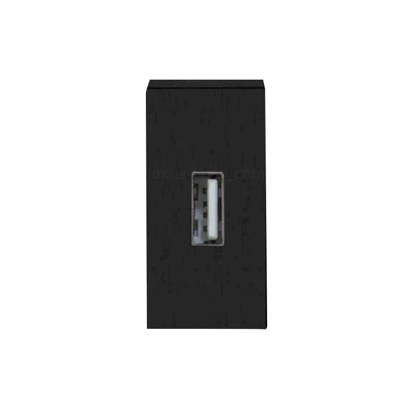 Glas Steckdose + USB Ladesteckdose Typ A Grau LXBG2-15-71-2USB-15